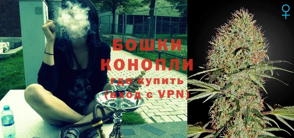 PSILOCYBIN Горняк