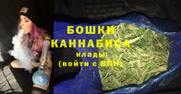PSILOCYBIN Горняк