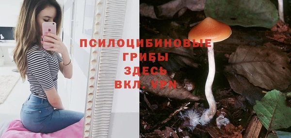 меф Горно-Алтайск