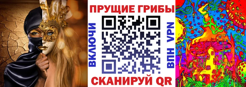 Псилоцибиновые грибы Magic Shrooms  цены   Динская 